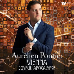 Vienna: Joyful Apocalypse - Aurélien Pontier