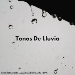 Tonos De Lluvia: Sonidos Suaves De Lluvia Para Despejar Tu Mente - Fabricantes de lluvia suave