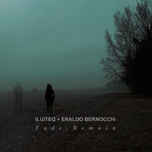 Fade, Remain - ILUITEQ