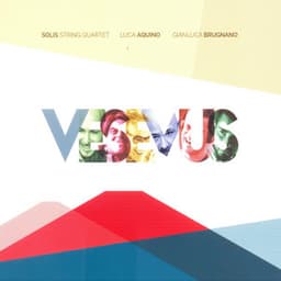 Vesevus - Solis String Quartet