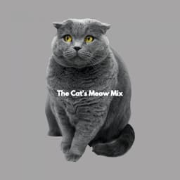 The Cat's Meow Mix - Relaxation Channel