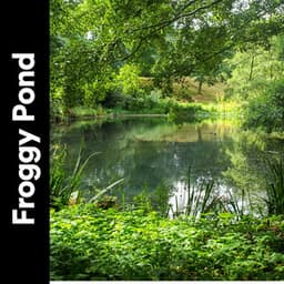 Froggy Pond - Cricket Sounds