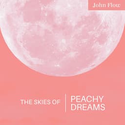 The Skies of Peachy Dreams - John Flow