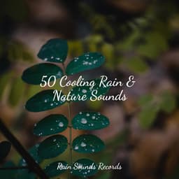 50 Cooling Rain & Nature Sounds - Yoga Sounds