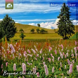 Beyond the Hills - Anna Levin