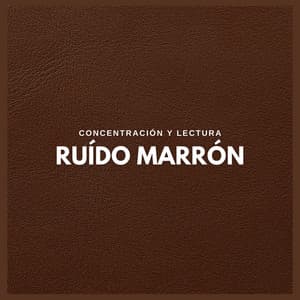 Ruído Marrón: Concentración y Lectura - Musicas para Estudar Collective