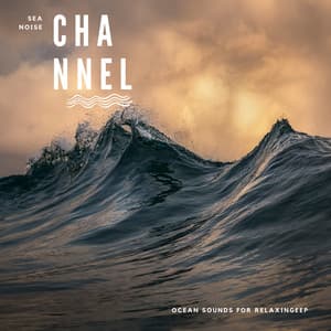 Ocean Sounds for Relaxing, Night Sleep, Meditation to Wind Down - Sea Noise Channel