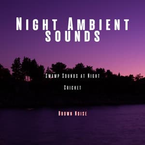 Night Ambient Sounds, Cricket, Swamp Sounds at Night with Brown Noise, Loopable - Mother Nature Sound FX