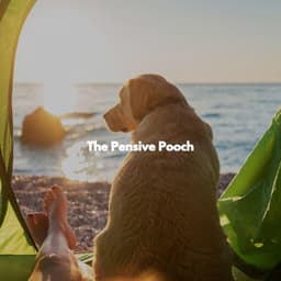The Pensive Pooch - Dog Music Hour