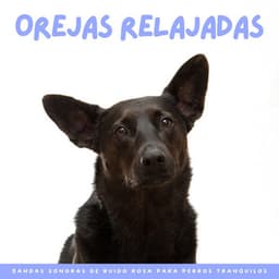 Orejas Relajadas: Bandas Sonoras De Ruido Rosa Para Perros Tranquilos - Ruido Perfecto