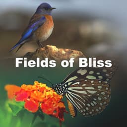 Fields of Bliss - Outdoor Field Recorders