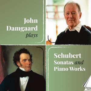 John Damgaard plays Schubert Sonatas and Piano Works - Franz Schubert