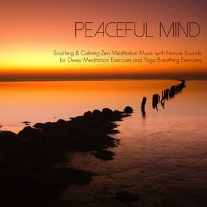 Peaceful Mind - Soothing & Calming Zen Meditation Music with Nature Sounds - Buddhist Robe