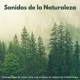 Sonidos De La Naturaleza: Flexibilidad De Yoga Con Los Ritmos De Insectos Forestales - El proyecto de la naturaleza