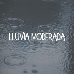 Lluvia Moderada - Lluvia Relajante