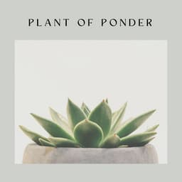 Plant of Ponder - Nature Calm