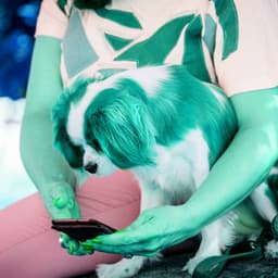 Backdrop for Staying Warm Pups - Alto Sax - Dog Anxiety Music