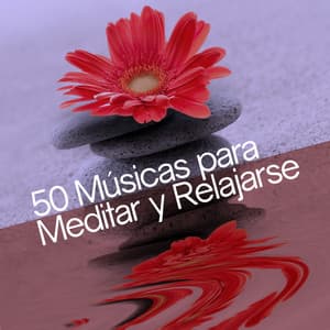 50 Músicas para Meditar y Relajarse - Música a Relajarse