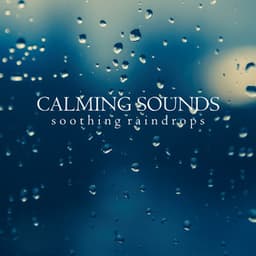 Calming Sounds: Soothing Raindrops - Background Noise From TraxLab