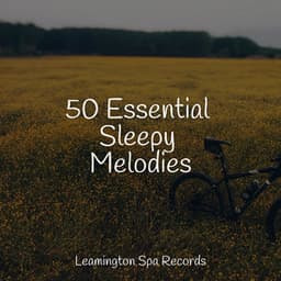 50 Essential Sleepy Melodies - Rain Shower Spa