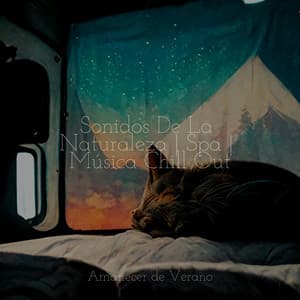 Sonidos De La Naturaleza | Spa | Música Chill Out - Calm Music for Studying