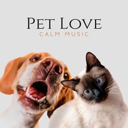 Pet Love - Pet Relax Academy