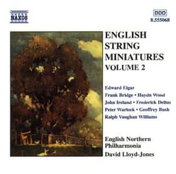 English String Miniatures, Vol. 2 - English Northern Philharmonia
