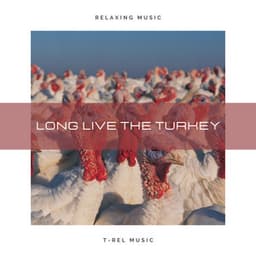 Long Live The Turkey - Long Live The Turkey