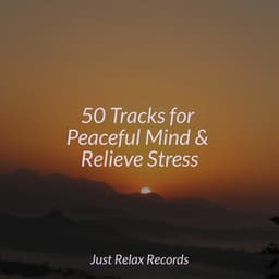 50 Tracks for Peaceful Mind & Relieve Stress - Meditar Profundamente