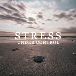 Stress Under Control - Full Rest, Recovery Freshness, Soothing Remedy, Zen Peace - Less Stress Music Academy