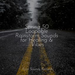 Spring 50 Loopable Rainstorm Sounds for Healing & Vibes - Anxiety Relief