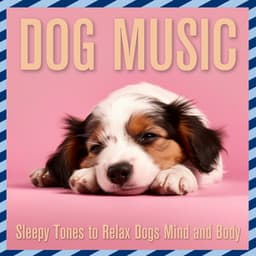 Dog Music: Sleepy Tones to Relax Dogs Mind and Body - Relaxmydog