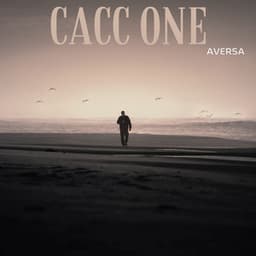 Cacc One - Aversa
