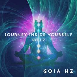 Journey Inside Yourself - Goia Hz