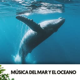 Música del Mar y el Oceano: Flow del Mar - Relajacion