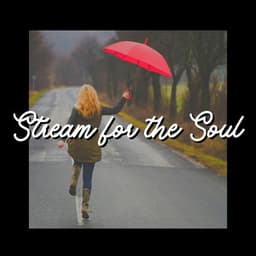 Stream for the Soul - The Sound Of The Rain