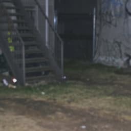 Black $uicide Side B: $uicide Hustle - $uicideboy$