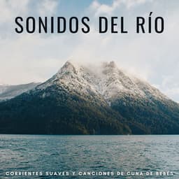 Sonidos Del Río: Corrientes Suaves Y Canciones De Cuna De Bebés - Camino del agua