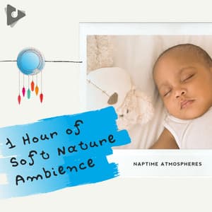 1 Hour of Soft Nature Ambience - Naptime Atmospheres