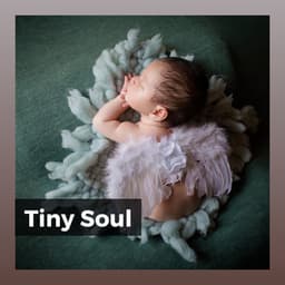 Tiny Soul - Baby Sleep Through the Night