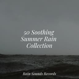 50 Soothing Summer Rain Collection - Sonidos De Truenos y Lluvia