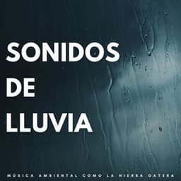 Sonidos De Lluvia: Música Ambiental Como La Hierba Gatera - Última sinfonía de lluvia