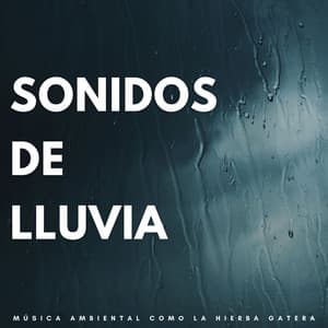 Sonidos De Lluvia: Música Ambiental Como La Hierba Gatera - Última sinfonía de lluvia