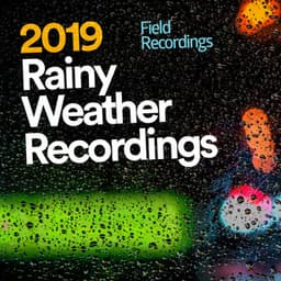 2019 Rainy Weather Recordings - Field Recordings