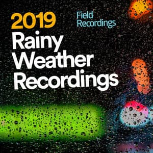 2019 Rainy Weather Recordings - Field Recordings
