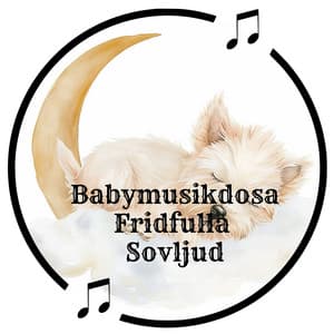 Babymusikdosa Fridfulla Sovljud - Bebis Söt Vaggvisa Projekt Zzzz