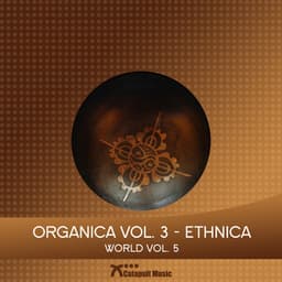 Organica Vol 3 - Ethnica - Martin Haene