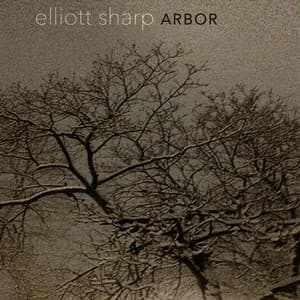 Arbor - Elliott Sharp