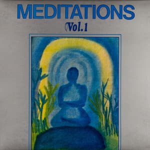 Meditations Vol. 1 - Joel Vandroogenbroeck