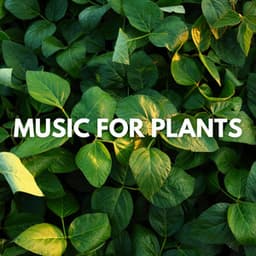 Music for Plants - Plant Music
